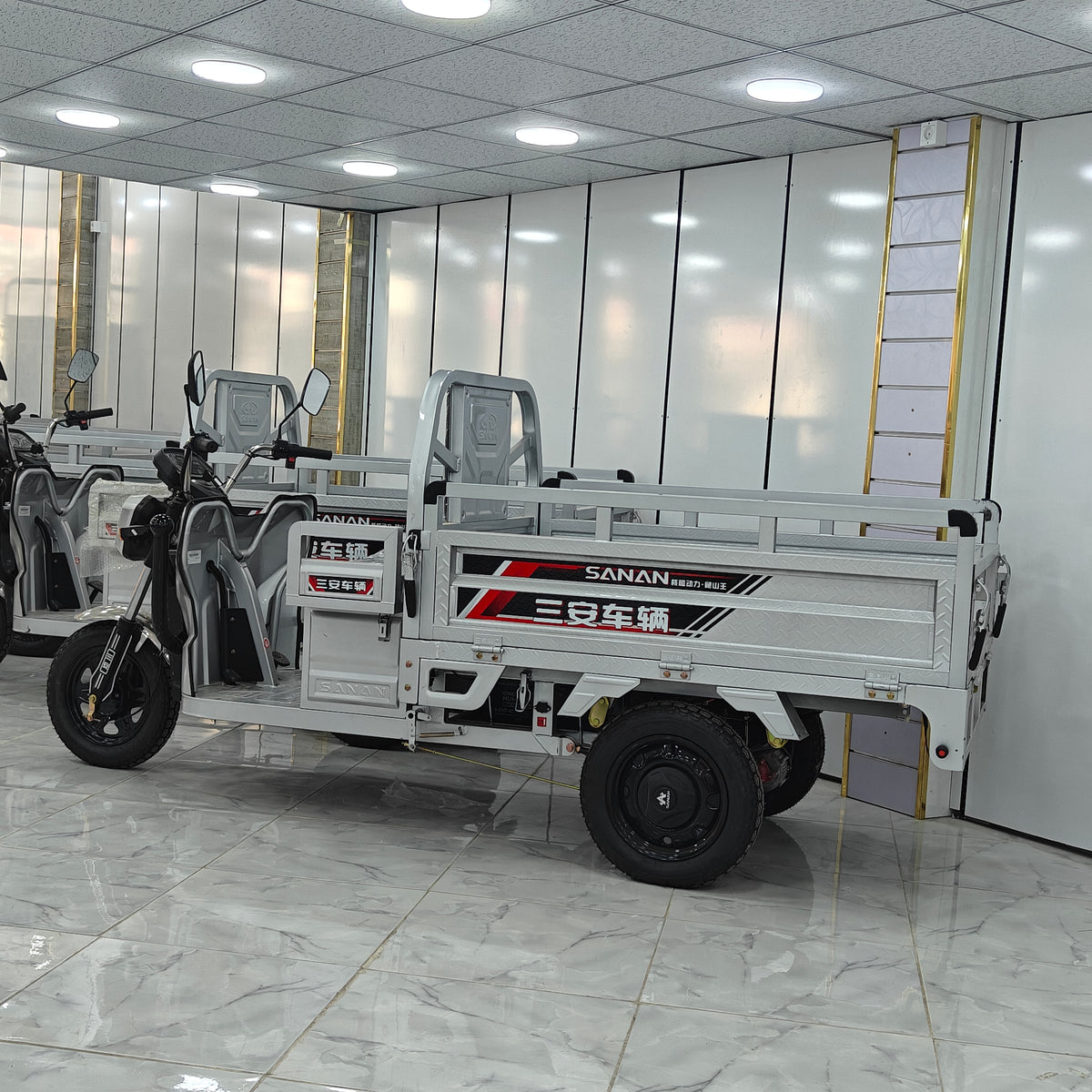 تريسيكل كهربائي Electric Tricycle Sanan