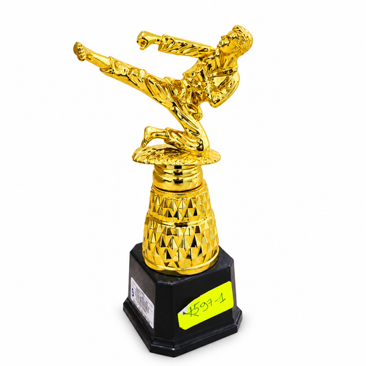 كأس كاراتيه ذهبي بركلة طائرة Golden Karate Flying Kick Trophy 4597-1