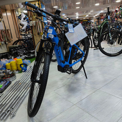 دراجة كهربائية Flyer | Flyer Electric Bike
